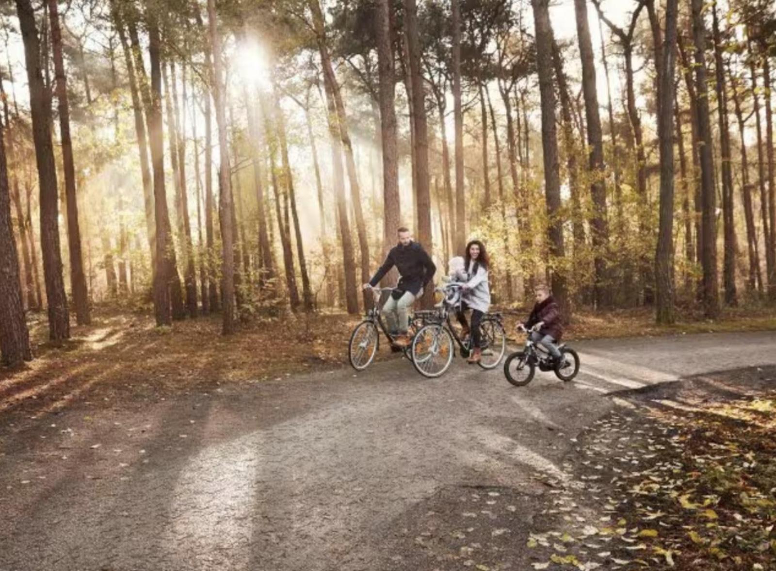 Glamping Lodge With Eco-Wellness Zeewolde Exteriör bild