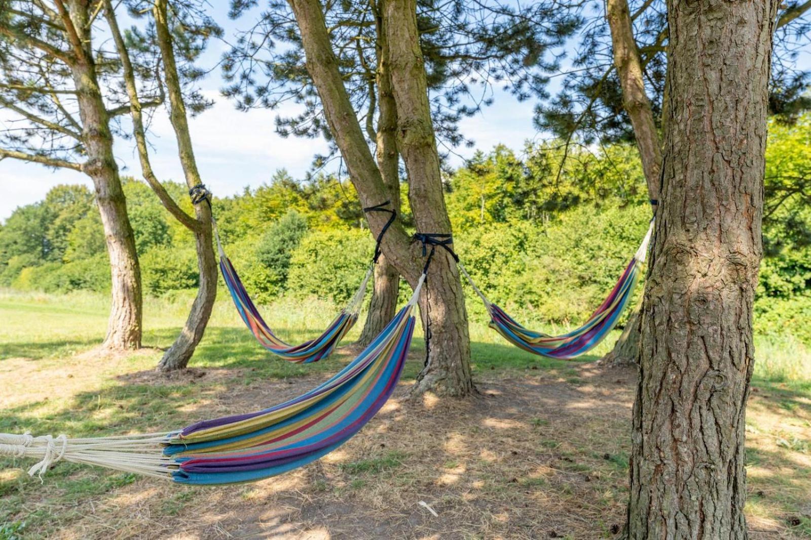 Glamping Lodge With Eco-Wellness Zeewolde Exteriör bild